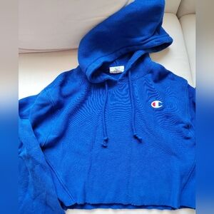 Champion Blue Pullover Hoodie